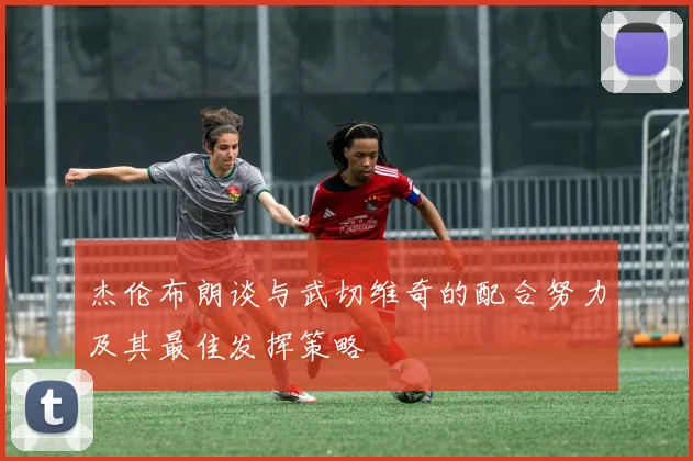 杰伦布朗谈与武切维奇的配合努力及其最佳发挥策略