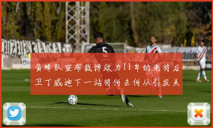 黄蜂队宣布裁掉效力11年的老将后卫丁威迪下一站将何去何从引发关注